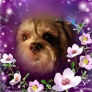 Meet your Posher, Melanie